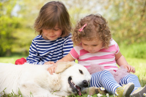 Dog Bites and Children Dog Bites and Children